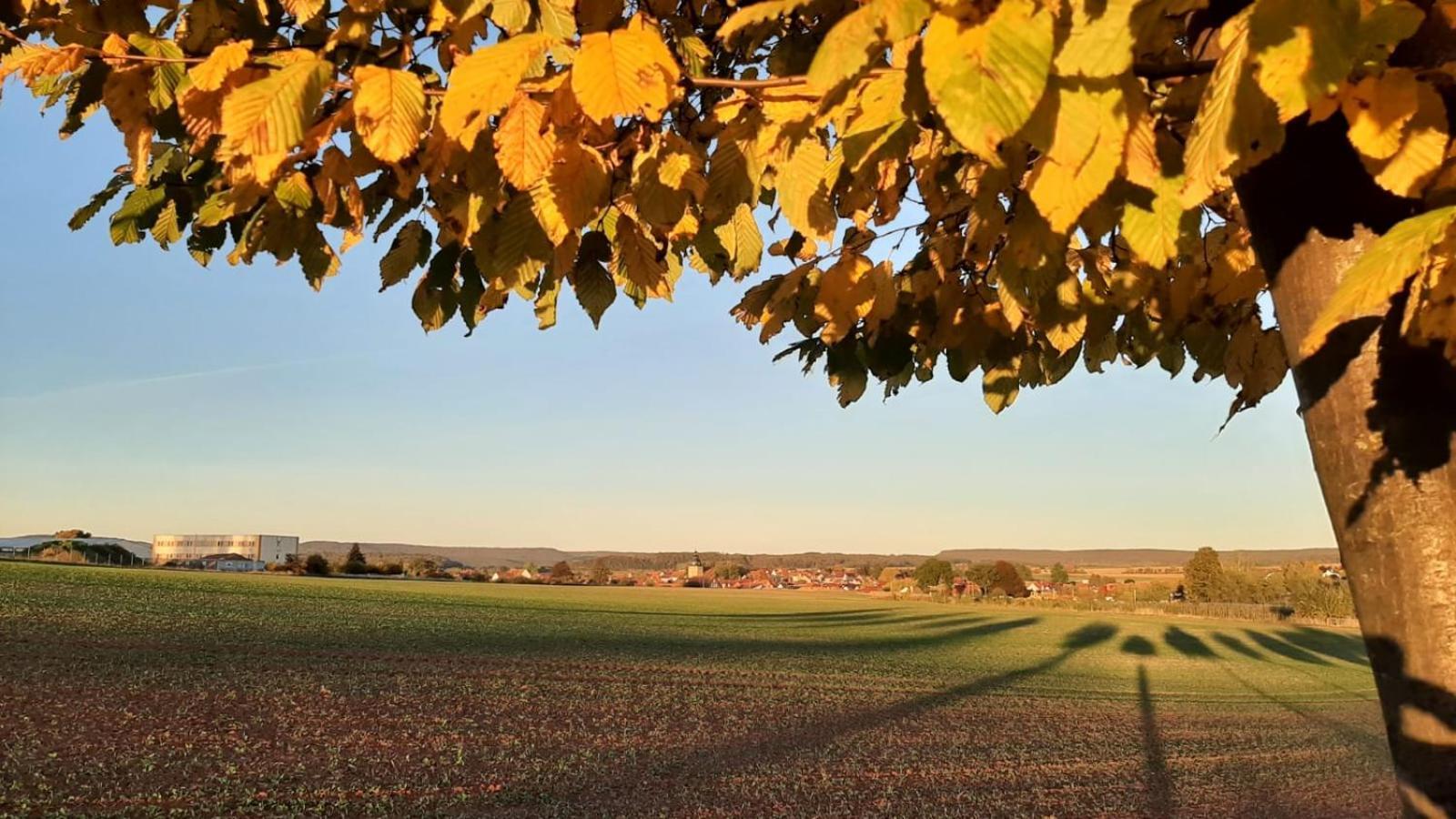 Stilvolle Ferienwohnung Im Eichsfeld Niederorschel Екстериор снимка