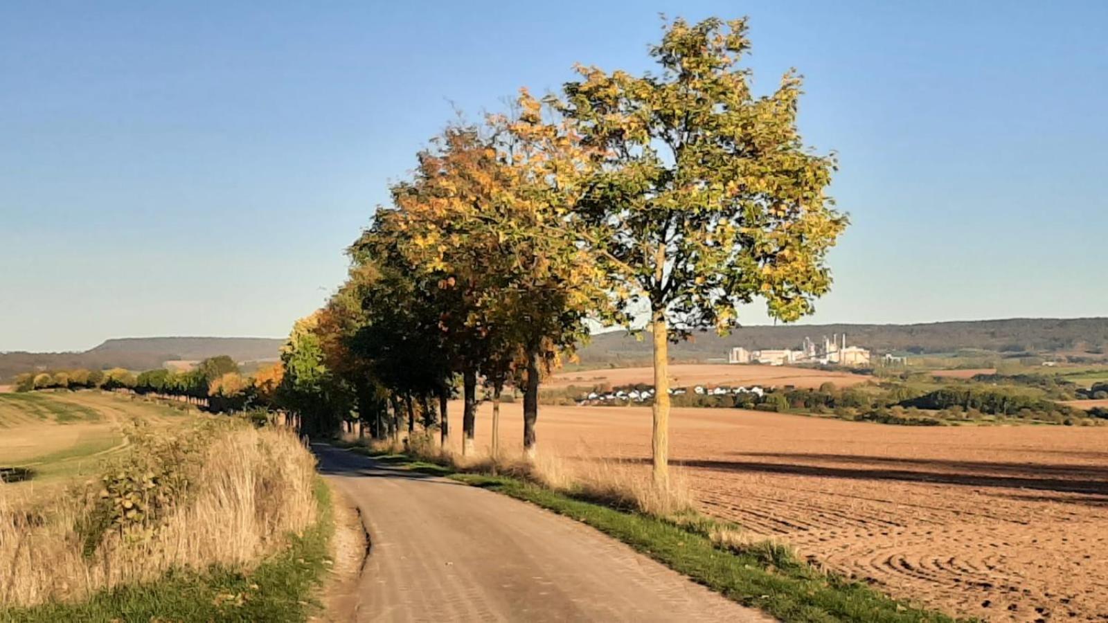 Stilvolle Ferienwohnung Im Eichsfeld Niederorschel Екстериор снимка