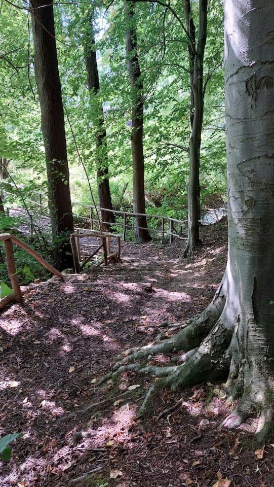 Stilvolle Ferienwohnung Im Eichsfeld Niederorschel Екстериор снимка